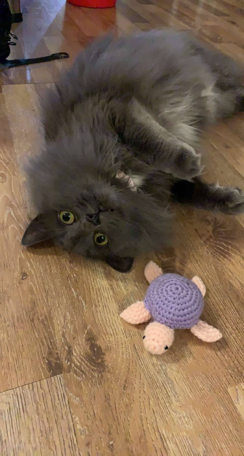 Crochet Cat Toy | Sea Turtle | Catnip Filled