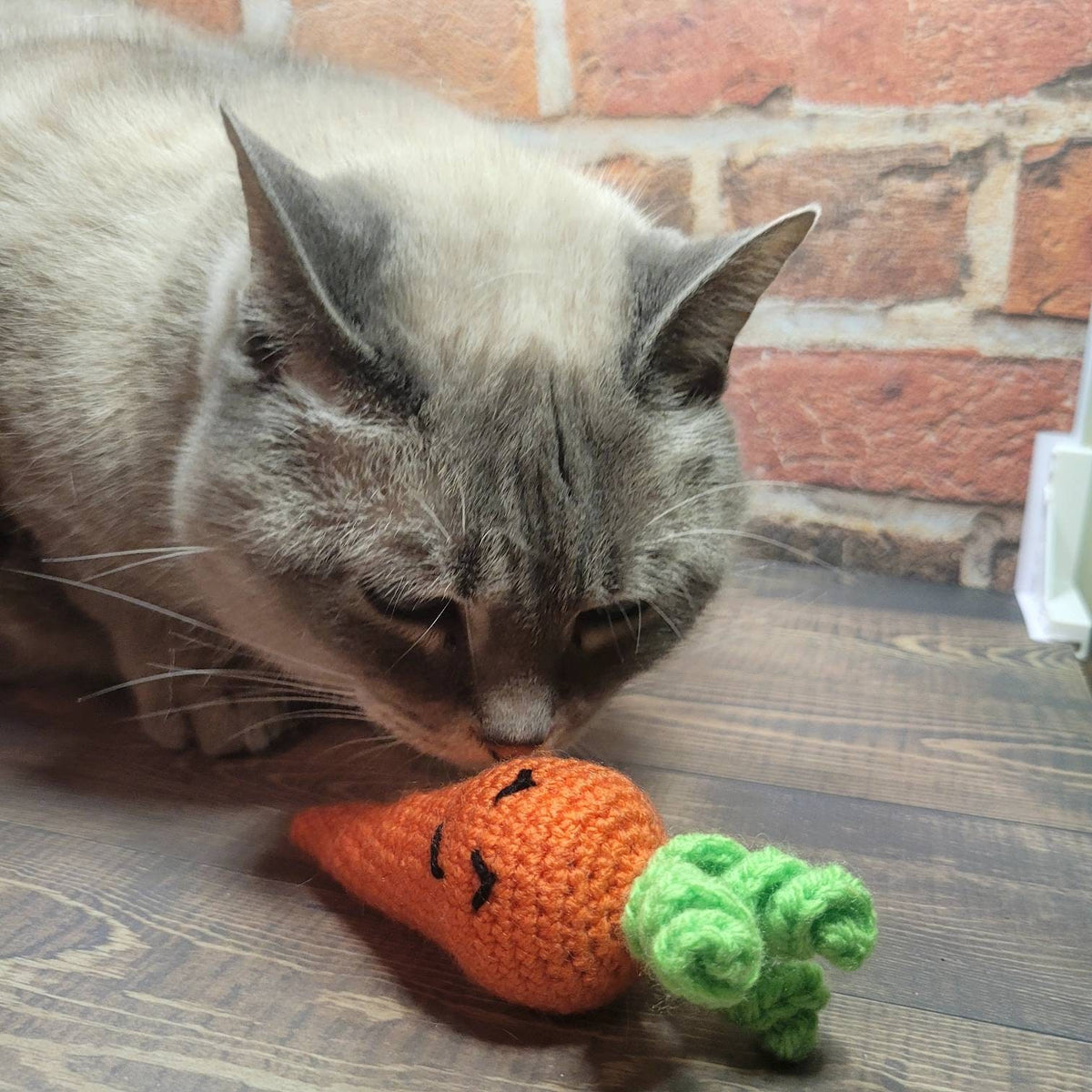 Crochet Cat Toy | Carrot | Catnip Filled