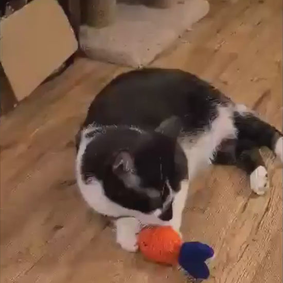 Crochet Cat Toy |Fish | Catnip Filled