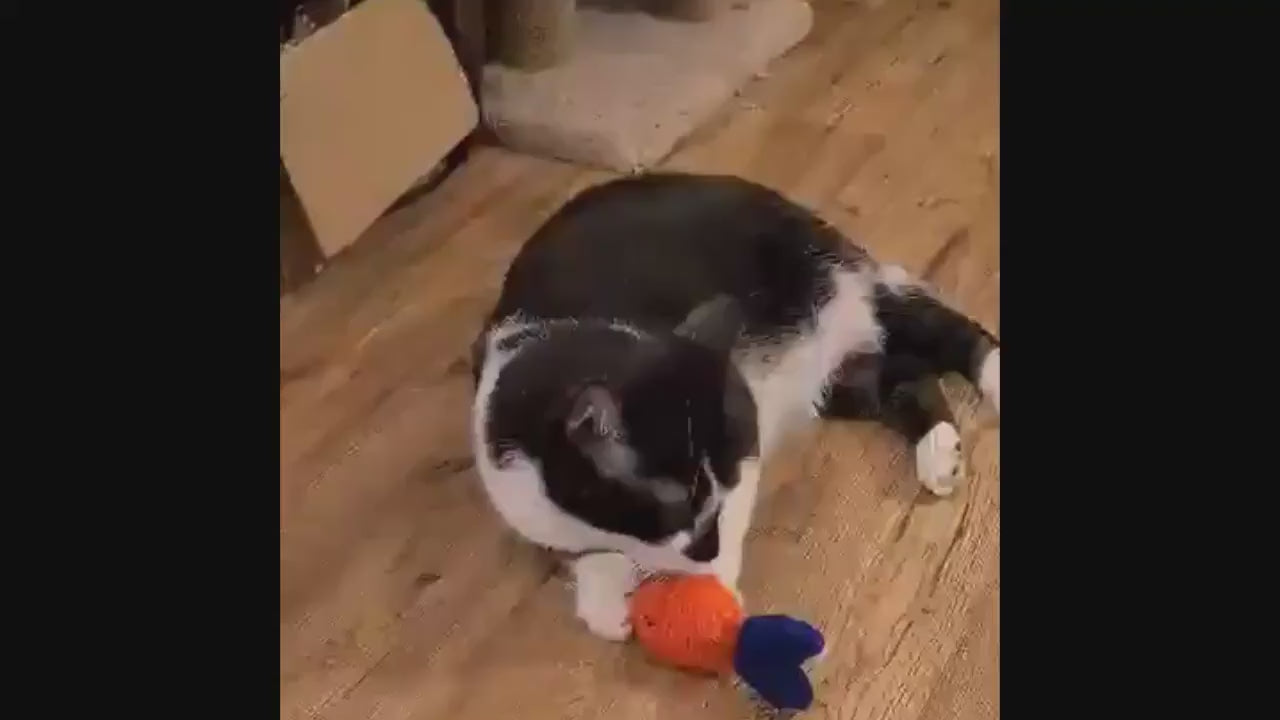 Crochet Cat Toy |Fish | Catnip Filled